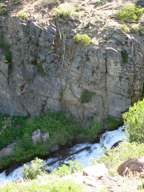 Summer '06 Sunriver 343 